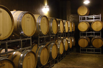 BODEGA CAVAS.jpg
